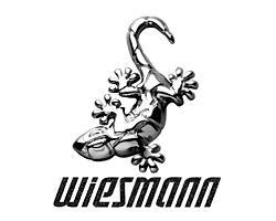 威兹曼高清车标，威兹曼汽车高清图标，威兹曼汽车车标，威兹曼汽车标志